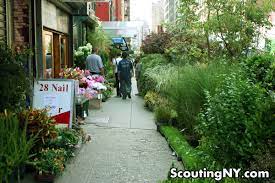 Jun 24, 2021 · the organizing there was led by the retail, wholesale and department store union, which represents 100,000 workers at poultry plants and retailers, such as macy's and h&m. The Jungles Of West 28th Street Exploring New York S Flower District Scouting Ny
