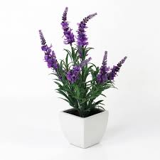 Maybe you would like to learn more about one of these? Fake Lavender Marika In A Ceramic Pot Violet 35cm O2cm Fake Flowers