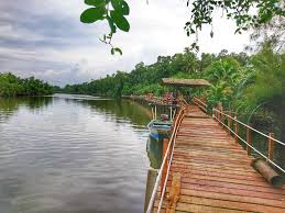 Pemandangannya yang asri juga menambah nilai untuk berwisata di tempat ini. Kampung Pulau Tengah Lokasi Viral Terkini Di Kubang Kerian Ada 6 Aktiviti Best Korang Boleh Lakukan Di Sini Libur