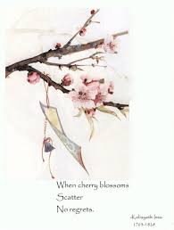 When Cherry Blossoms Scatter No Regrets Issa Japanese Haiku Poet Cherry Blossom Quotes Blossom Quotes Haiku Poems