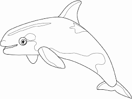 Free, printable mandala coloring pages for adults in every design you can imagine. Coloring Orca Picture