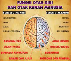 Benarkah perbedaan antara otak kanan dan otak kiri seperti itu? Fungsi Otak Kanan Dan Otak Kiri Osisgrafma