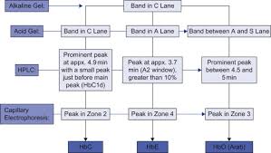 Mean Corpuscular Hemoglobin An Overview Sciencedirect Topics