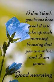 We did not find results for: 45 Morning Glories Ideas In 2021 Good Morning Greetings Morning Images Good Morning Images