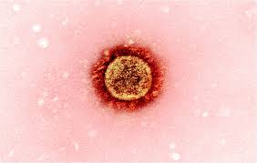 Thank you to all the volunteers who made these results possible. Novavax Covid 19 Vaccine Shows Efficacy Against South African Sars Cov 2 Variant
