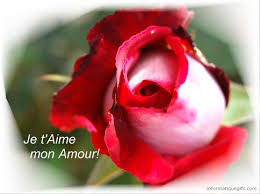 Check spelling or type a new query. Image Je T Aime Mon Coeur Photo St Valentin Et Fleurs