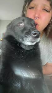 Norman loves this song