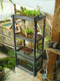 This will give the bacteria a chance to form. How To Diy Aquaponics The How To Diy Guide On Building Your Very Own Aquaponic System Freecycle Indoor Aquaponics Hydroponics Diy Hydroponics System
