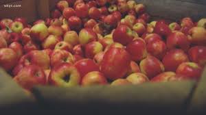 Best pioneer woman applesauce from applesauce ree drummond. Six Places To Pick Apples In Northeast Ohio Wkyc Com