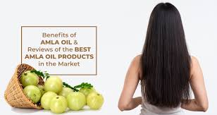 Amla oil for hair growth virgin organic usda certified large 4oz glass bottle and glass dropper. Benefits Of Amla Oil And Reviews Of The Best Amla Oil Products In The Market Prim Mart