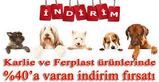 Kedi Ile Kopek Mamalari Ve Oyuncaklari Pet Ihtiyac Kopek Kedi Hayvan