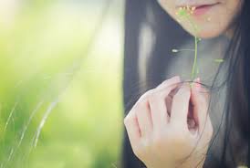 Kết quả hình ảnh cho em