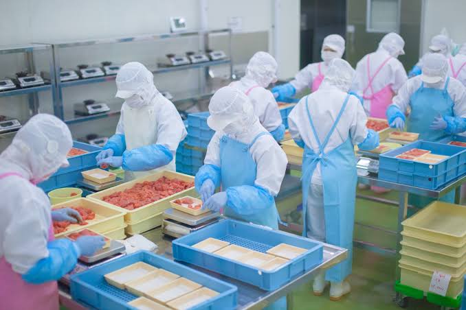 Produksi Makanan dan Minuman