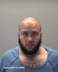 OLINGER ERIC MYLES 11/21/2024