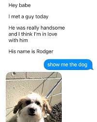 Pin On Funny Memes