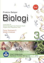 Kunci jawaban buku paket biologi erlangga kelas xii kurikulum 2013. Praktis Belajar Biologi Sma Kelas Xii Ktsp 2006 Buku Sekolah Elektronik Bse