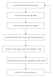 Honey Bee Operating Steps Honey Bee Producer Guide To The