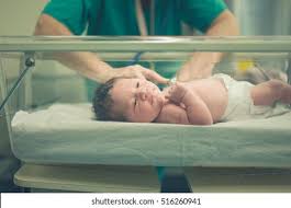 Stock Photo And Image Portfolio By Lolostock Shutterstock