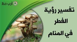 مشاهدة افلام اون لاين تحميل افلام عربي تحميل افلام اجنبي. Ø§Ù„ÙØ·Ø± Ø£Ùˆ Ø§Ù„ÙƒÙ…Ø£Ø© Ø£Ùˆ Ø§Ù„ÙÙ‚Ø¹ ÙÙŠ Ø§Ù„Ù…Ù†Ø§Ù… Ø¯Ù„Ø§Ù„Ø§Øª Ù…ØªØ¹Ø¯Ø¯Ø© ÙˆØªÙØ³ÙŠØ±Ø§Øª Ù…ØªÙ†ÙˆØ¹Ø© Ø§Ø±Ø¨ Ø­Ø¸