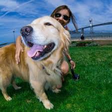 Neutering will not interfere with your dog's personality and ability to work. The Important Truth About Spaying And Neutering Your Dog
