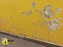Caranya adalah dengan menempelkan adukan tersebut dengan tekanan yang kuat pada permukaan dinding memakai cetok. Pakar Cat Dinding Rumah Anda 2020 Zoy Pakar Cat