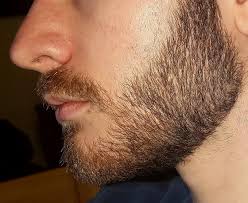 Beard grow xl helps with your beard, mustache, side burn and chin/neck hair density and growth. 4 Months Of Biotin Supplements Did Wonders For My Density Picture From 4 Months Ago In Comments Beards