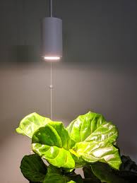Maybe you would like to learn more about one of these? Aspect Grow Light Houseplants