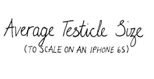 You Must Check Out This Genius Iphone Sized Testicle Chart