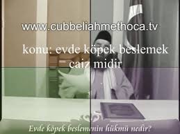 Evde Kopek Beslemek Caiz Midir Cubbeli Ahmet Hoca Efendi