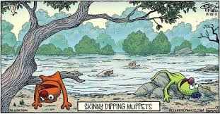 BlZAKKOCOMIC&COM / bizarro :: skinny dipping :: muppets :: comics (funny  comics & strips, cartoons) / funny pictures & best jokes: comics, images,  video, humor, gif animation - i lol'd