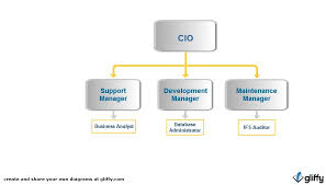 Doctors Office Blog Entry 1 3 Organizational Chart
