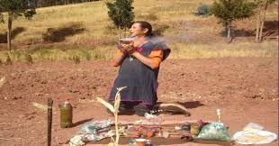 The cactus is a cleanser, a purgative, and a producer of heightened awareness. San Pedro Ceremony In Cusco Wachuma Sumac Cocca Travel