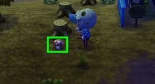 Jun 29, 2018 · how to unlock the qr code machine in ac:nl. How To Unlock Qr Codes In Animal Crossing New Leaf 10 Steps