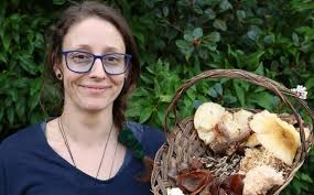 Explainer: How to safely forage for mushrooms