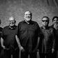 Los Lobos