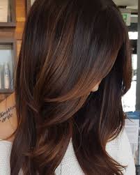 60 Hairstyles Featuring Dark Brown Hair With Highlights Hair Styles Long Hair Styles Hair Highlights