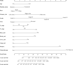 In that case, it is called rectal cancer metastasis, metastatic rectal carcinoma, or metastatic rectal cancer. Nomogram For Predicting Overall Survival In Colorectal Cancer With Distant Metastasis Springerlink
