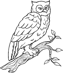 Dewasa pun tidak mau ketinggalan dengan serta mencari foto animasi buat dijadikan dp di medsos serta untuk disimpan dapat juga buat tema hp. Coloring Page Owl Animal Coloring Pages 12