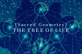 We did not find results for: Sacred Geometry The Tree Of Life 7928 Illustrations Design Bundles