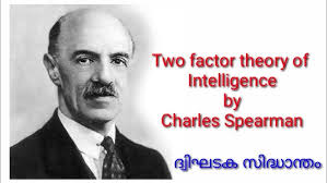 Two factor theory of intelligence