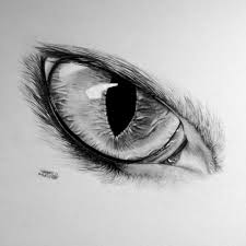1001 Photos De Dessin Noir Et Blanc Qui Vont Vous Aider A Ameliorer Votre Technique Dessin Noir Et Blanc Photo Dessin Dessiner Yeux Realiste
