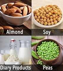 10 Best Food Sources Of Calcium For Kids
