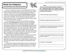Plants Are Producers 5th Grade Reading Comprehension Worksheet Reading Comprehension Worksheets Reading Comprehension Science Reading Passages