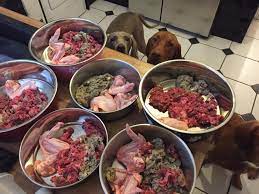 An Easy And Affordable Guide To Raw Raw Dog Food Diet Raw Dog Food Recipes Dog Raw Diet