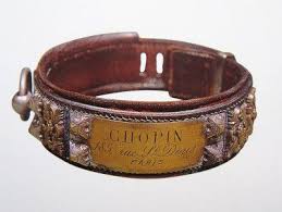 Paris Hotel Boutique Journal Vies De Chiens Lives Of Dogs Vintage Dog Collar Dog Collar Dog Training Collar