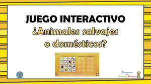 El pizarrón interactivo en preescolar (pip) representa una opción el pizarrón interactivo en preescolar una herramienta para favorecer los procesos de aprendizajes autónomos lo defino como. Interactivo De Animales Para Preescolar Los Juegos De Animales Mas Divertidos Para Ninos De Primaria Juegos De Preescolar Y Kinder Para Aprender El Abecedario Los Numeros Colores Y Figuras Pendampinngsembilan