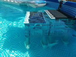 Diy Swimming Pool Dog Ramp Stairs Dog Pool Diy Swimming Pool Dog Ramp