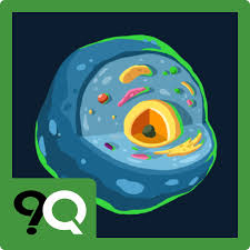 Uncover amazing facts as you test your christmas trivia knowledge. Amazon Com Biology Trivia Quiz Apps Games