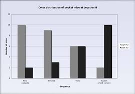 Https Www Biointeractive Org Sites Default Files Mousecolorvar Educator Act Pdf
