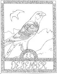 Month Of The Peregrine Falcon Lineart By Vandrefalk On Deviantart Peregrine Falcon Coloring Pictures Peregrine